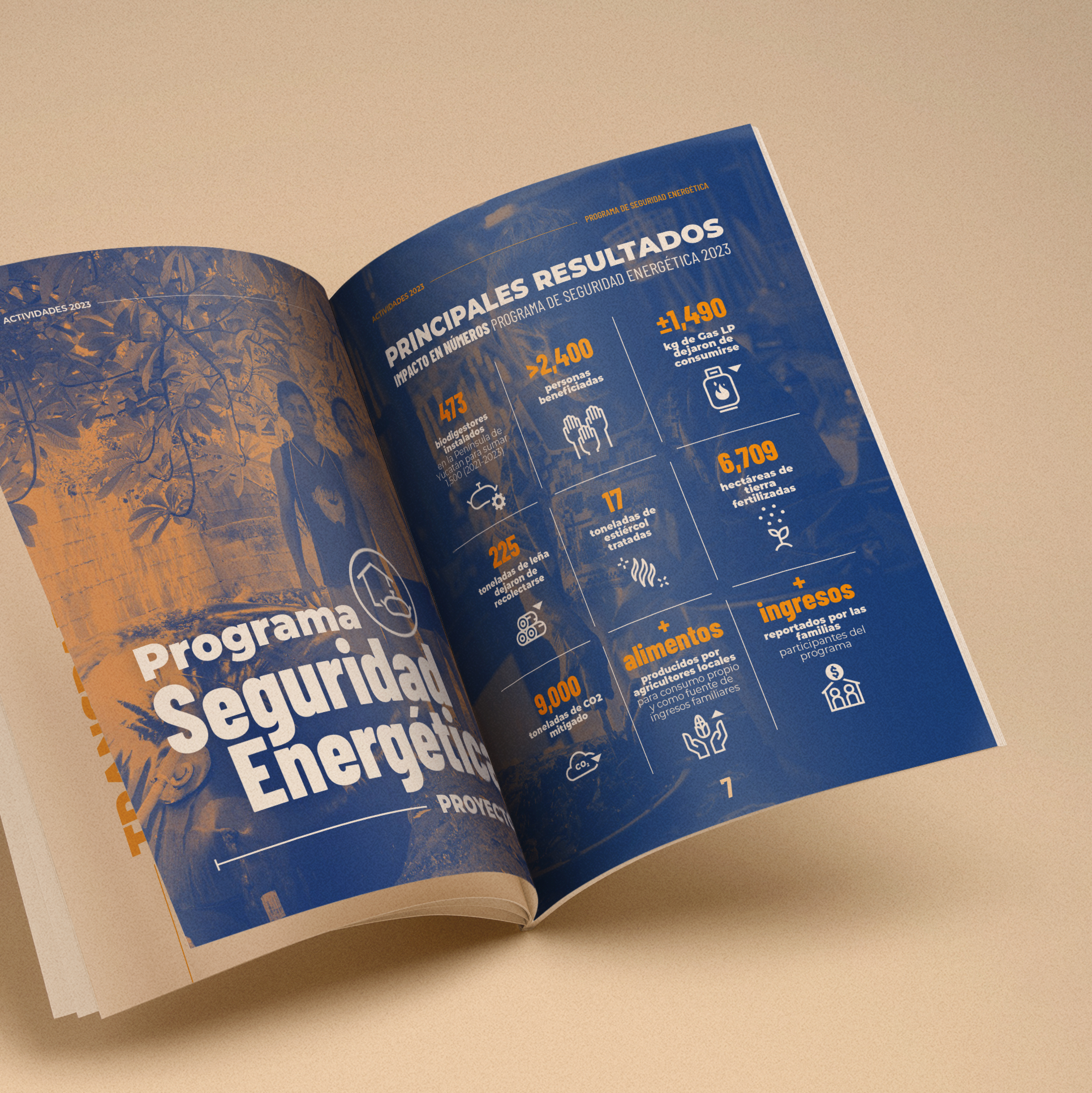 'Results' section of the 2023 annual report for the International Renewable Resources Institute (IRRI) Mexico, with infographic visuals and complimentary colors