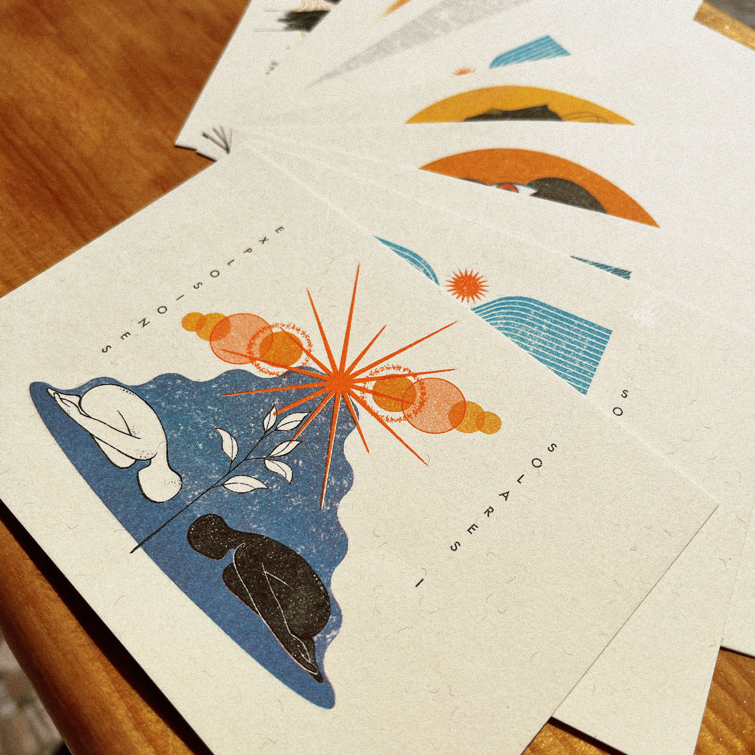 Close-up of the risograph postcard set printed in four colors, showing ink texture and a mix of organic and geometric elements