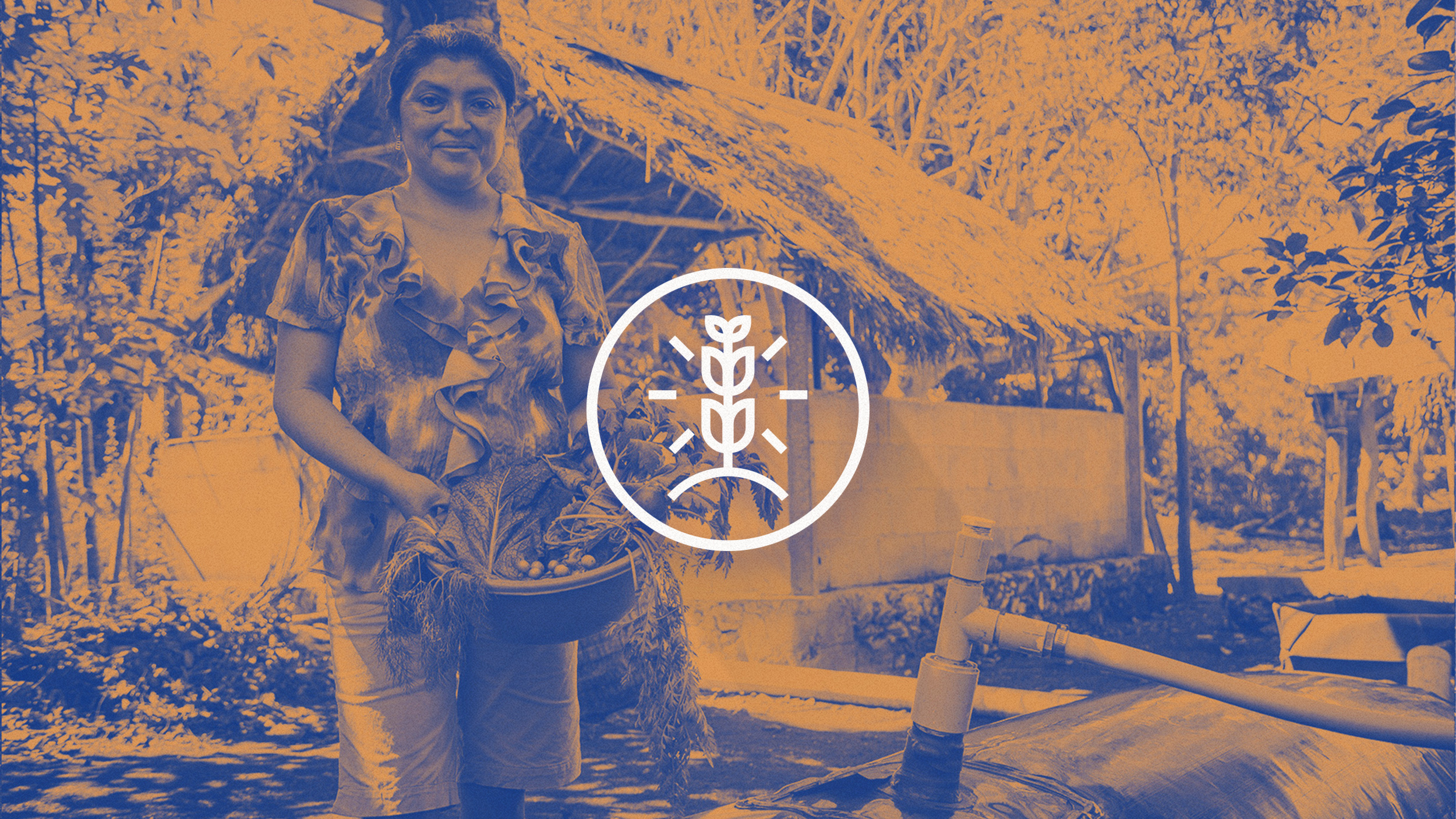 Visual System for IRRI México